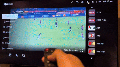 Centro de Entretenimiento Inteligente